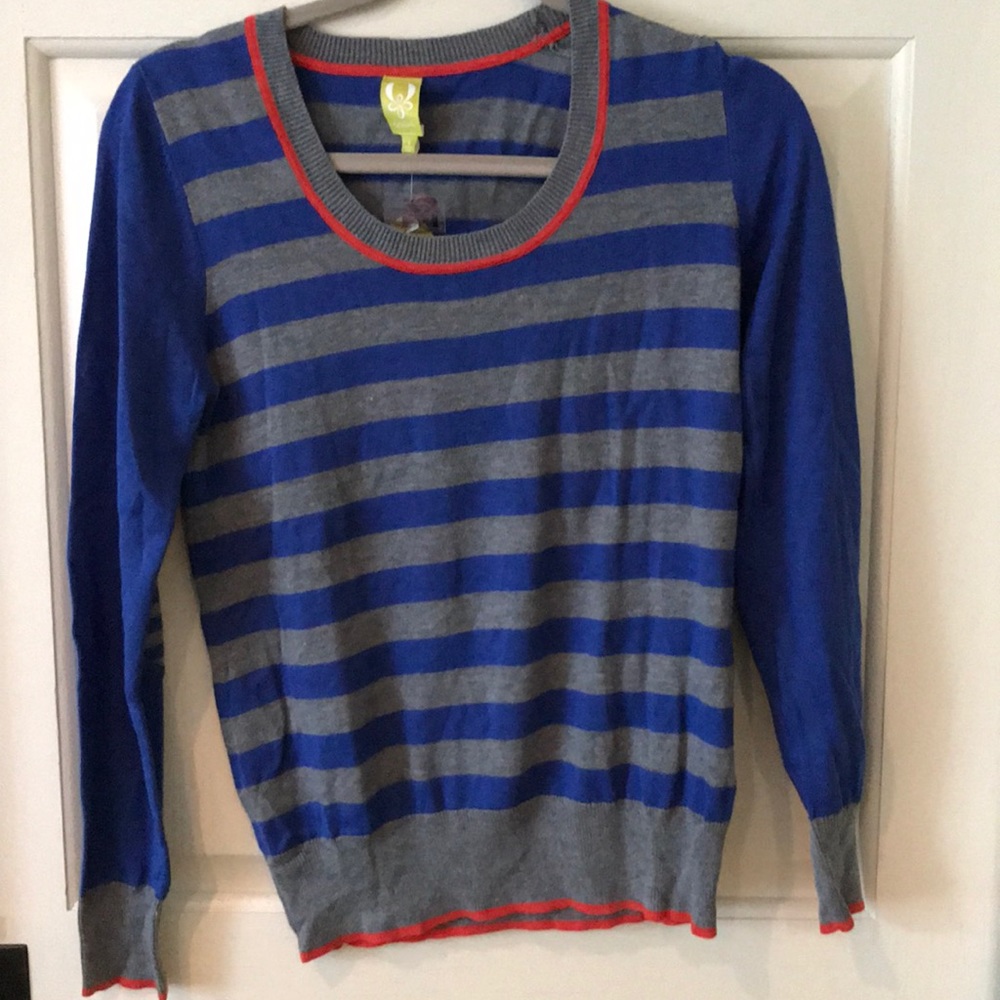 Royal Blue & Grey Striped Sweater